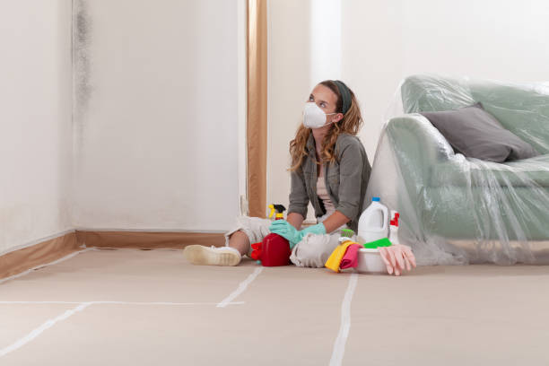 Reliable Commercial Mold Remediation contractor in Caledonia, MN by WQB Mold Removal